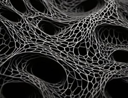 Não Fique de Fora das Pernas Lisas