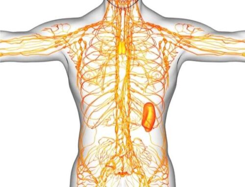 Aneurisma ou Dissecção de Aorta? Entenda a Diferença e a Gravidade